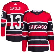 Daniel Carcillo Chicago Blackhawks Adidas Men's Authentic Reverse Retro 2.0 Jersey - Red